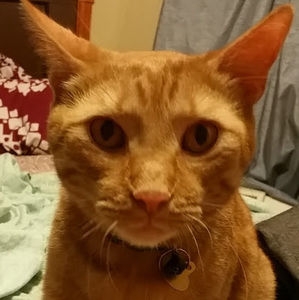 Meet your Posher, Riannon